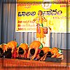 Copy of PC240047.JPG